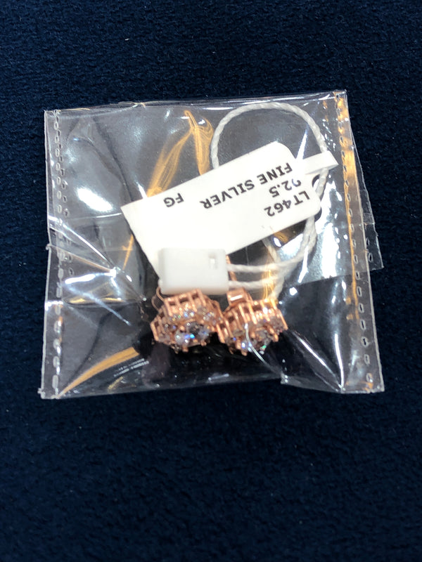 Ladies earrings