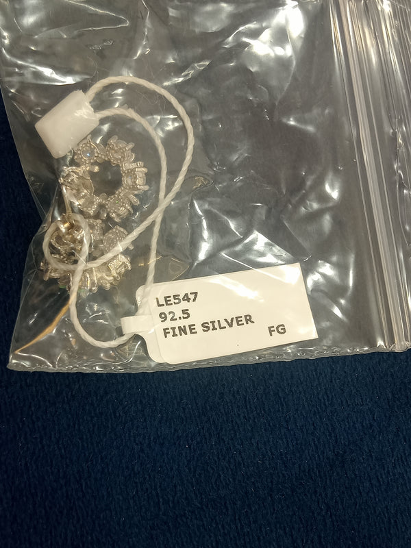 Ladies earrings