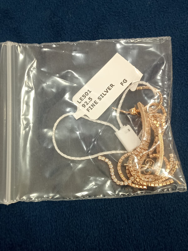 Ladies earrings