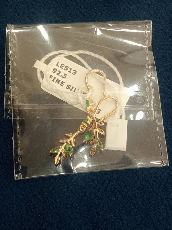 Ladies earrings