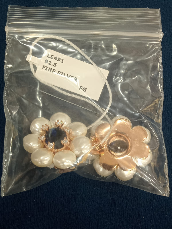 Ladies earrings