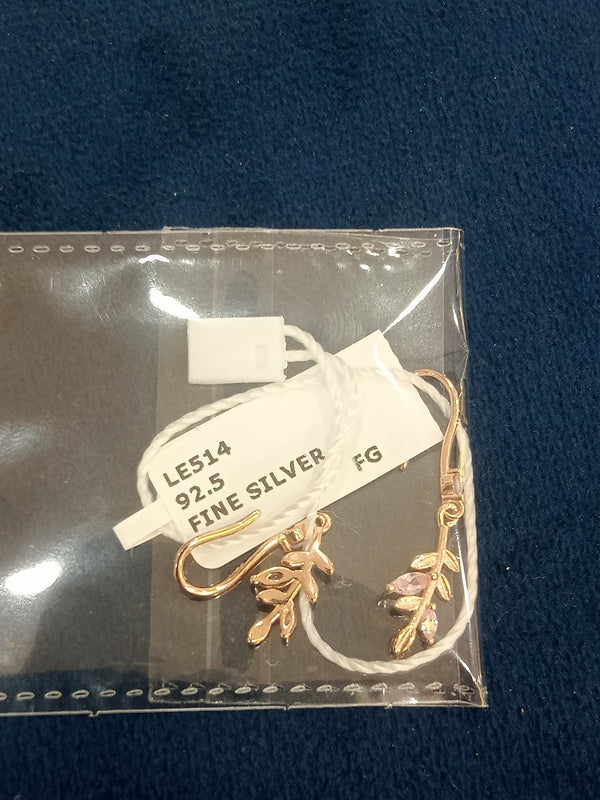 Ladies earrings